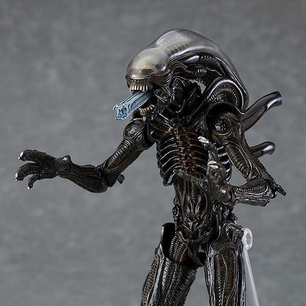 +1 Anime Alien SP 108