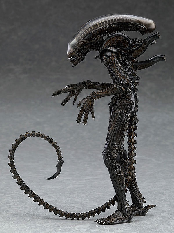 +1 Anime Alien SP 108